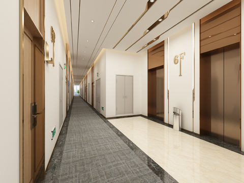 Modern Affordable Luxury Style Elevator Hall