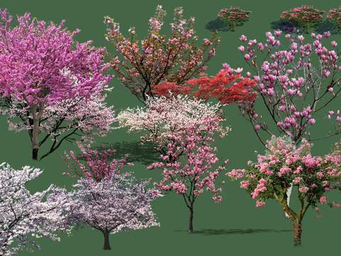 modern peach blossom tree trees landscape tree psd