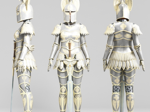 Modern Knight Armor Equipment