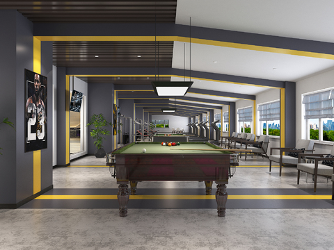 Modern Gym Billiard Table