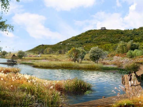 wetland park landscape wooden bridge plank road psd