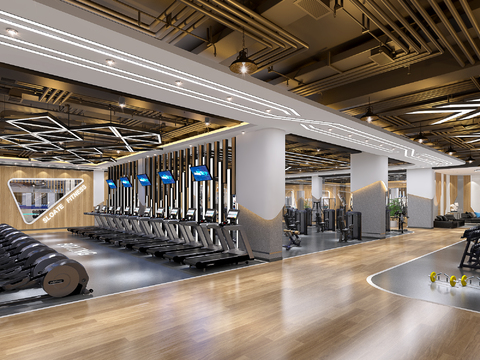 Modern Gym