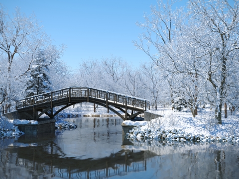 Lakeside Overpass Arch Bridge Wooden Plank Road Snow View