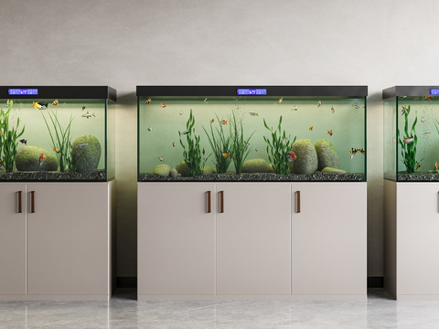 Fish tank aquarium