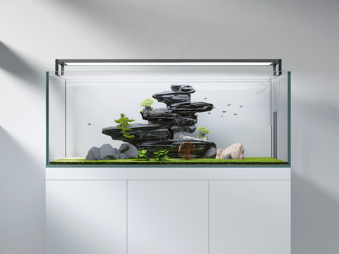 Modern fish tank aquarium