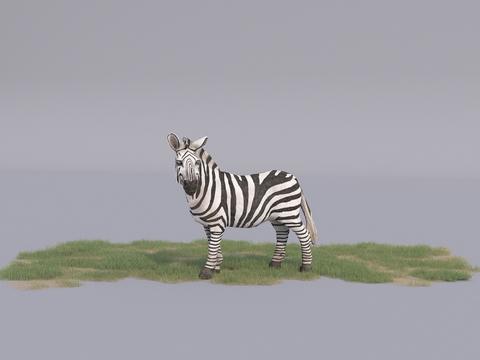 Modern animal zebra