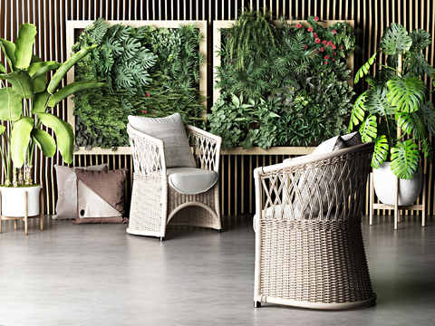 Modern Green Plant Rattan Chair Potted Plant