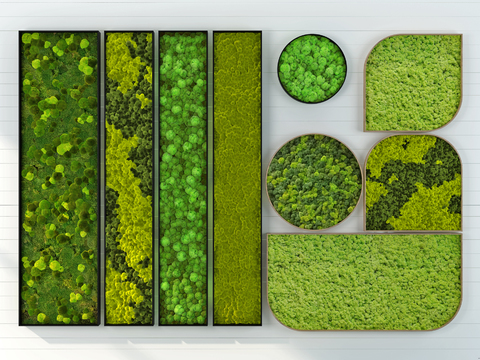 Modern moss plant wall