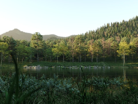 forest landscape mountain river landscape tree