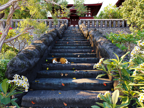 Chinese-style promenade with steps