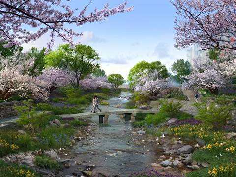 modern cherry blossom garden landscape psd