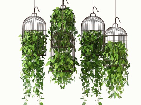 New Chinese Birdcage Green Plant Hanging Basket