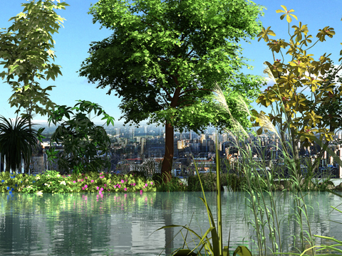 Modern River Jungle Landscape