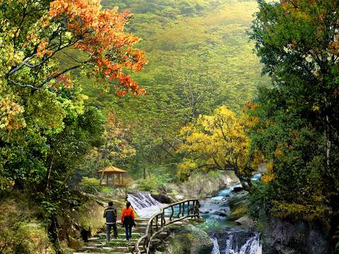 modern garden landscape mountain trail psd