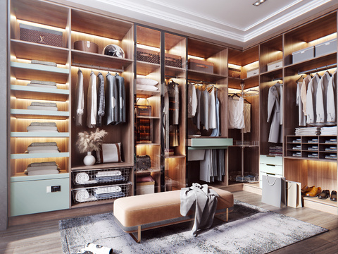 Modern Affordable Luxury Style Cloakroom