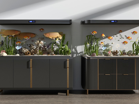 Modern minimalist fish tank combination