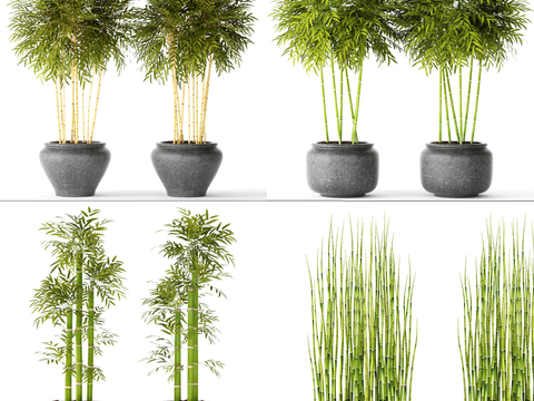 Modern bamboo potted combination