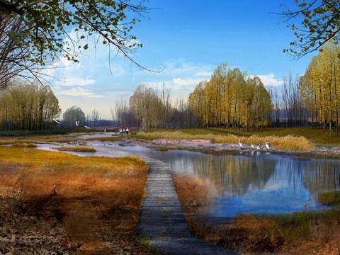 modern wetland landscape psd