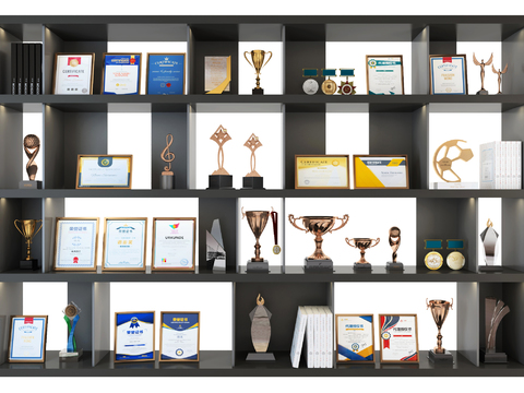 Modern Certificate of Merit, Trophy, Certificate of Honor, Medal Display Cabinet