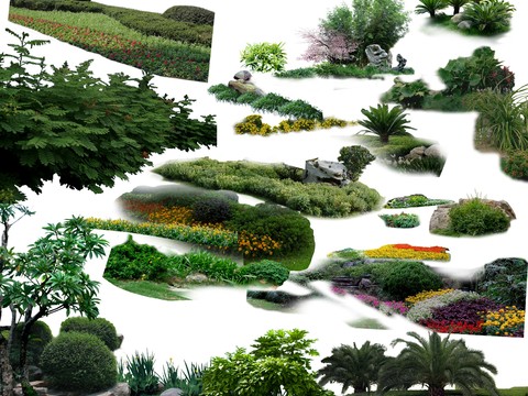 modern big tree landscape tree bushes psd