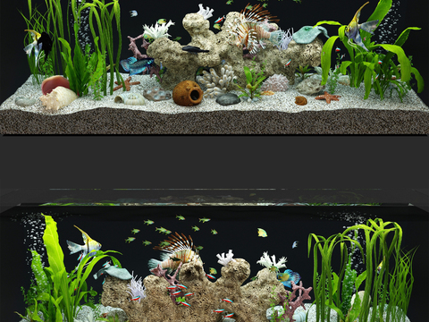 Modern Aquarium Fish Tank