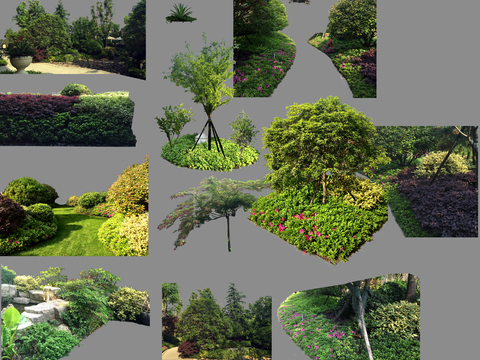 modern landscape tree big tree bushes psd