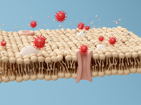 Fat Protein Bacteria Scene