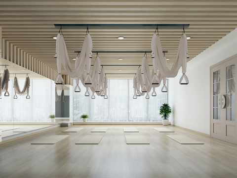 Modern Pilates Yoga Studio