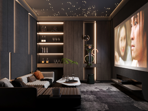 Audio-visual room Home theater