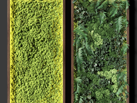 Modern moss plant wall