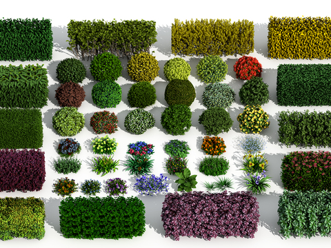 Modern landscape hedge flowers and shrubs