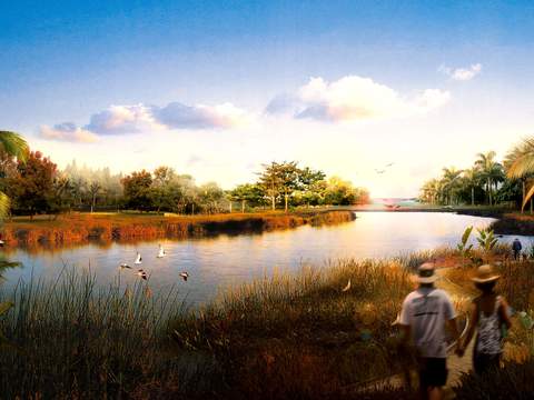 modern wetland landscape psd