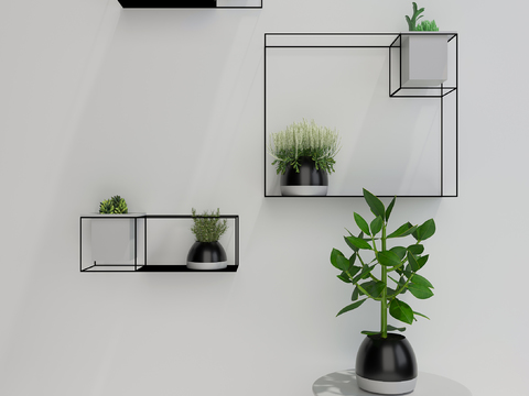 Modern green plant hanger potted plant