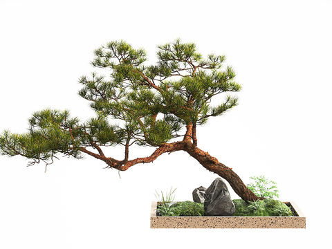 Pine plants heaps fake stone landscaping