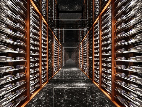 Modern Basement Wine Cabinet Wine Cellar