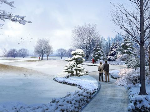 Modern Snow Park Landscape psd