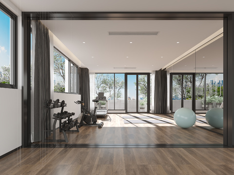 Modern Home Gym