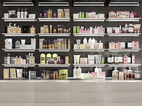 Modern Cosmetic Container Shelf