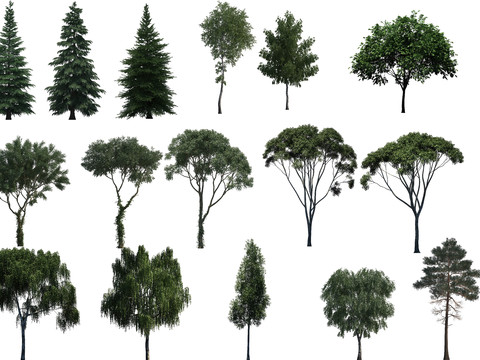 big trees trees landscape trees psd