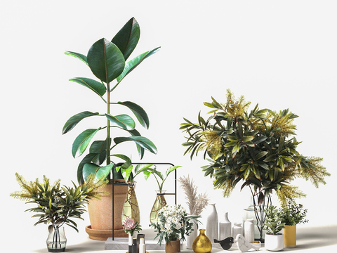 Modern potted plant combination