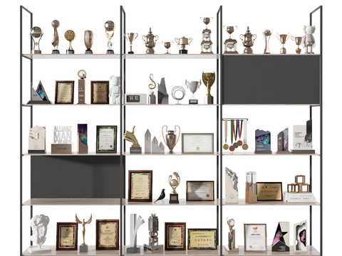 Modern Certificate of Merit, Trophy, Certificate of Honor, Display Cabinet