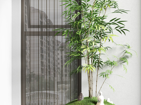 Bamboo Bonsai