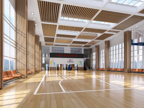 Modern indoor basketball court