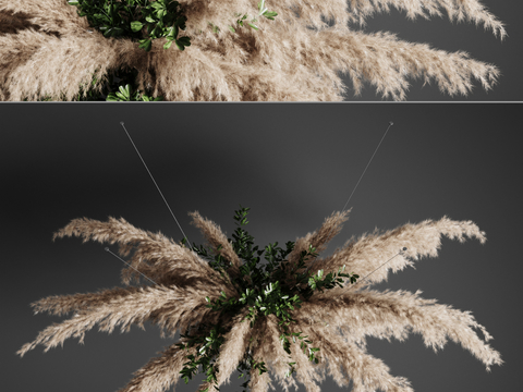 Modern reed dried flower hanging basket