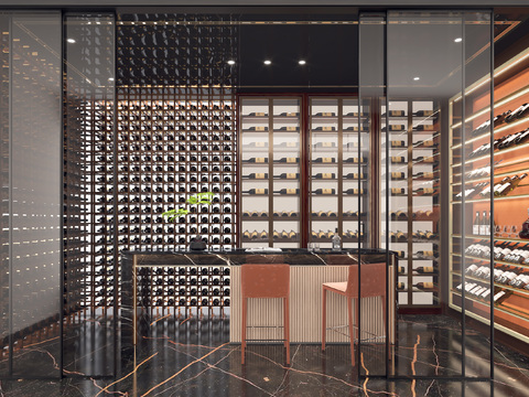 Modern basement wine cellar