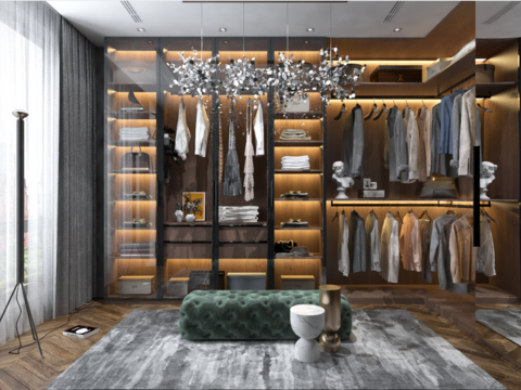 Modern Affordable Luxury Style Cloakroom Free