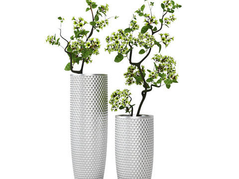 Modern plants potted free