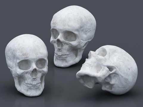 Modern skull ornaments