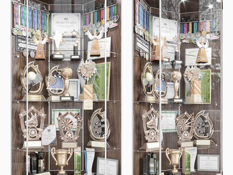 Modern trophy medal display cabinet