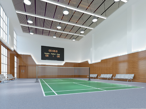 Sports Hall Badminton Hall